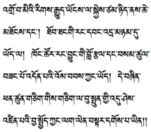 tibetan-udhr