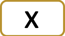 the X icon